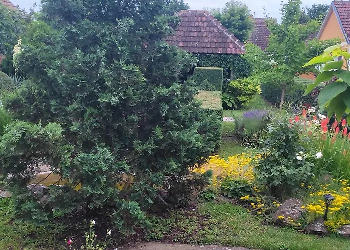 아파트 Mali Vrt Melenci